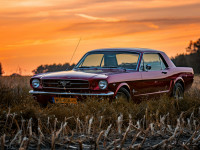 Dominika Kamińska 2