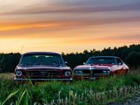 Dominika Kamińska 3