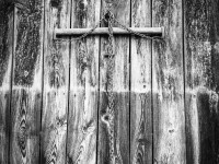 Ewelina Nikodemska 2