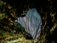 Ewelina Nikodemska 3