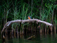 Małgorzata Leszka 2