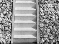 Katarzyna Falkowska 1