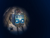 Katarzyna Falkowska 2