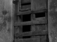 Katarzyna Falkowska 3