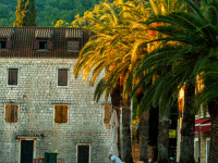 Katarzyna Gadzała 2