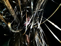 Katarzyna Sierzputowska 3