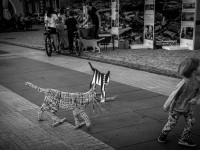 Sylwia Larkiewicz  2